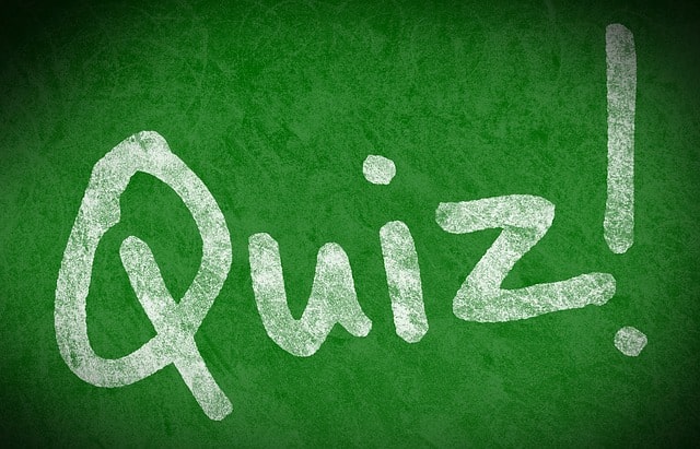 Elizabethan age quiz thumbnail